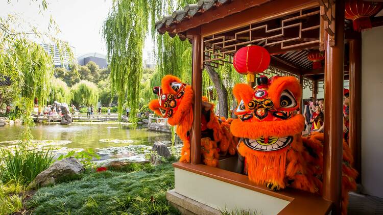 Lion Dancing at the Chinese Garden of Friendship