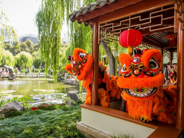 Frolic through the Chinese Garden of Friendship