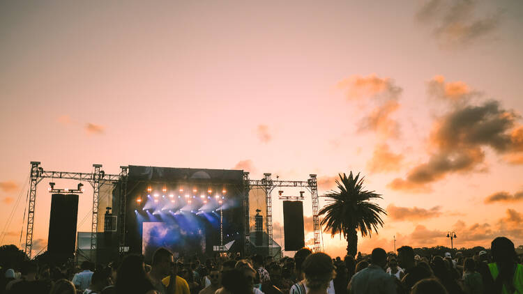photo of concert and palm trees 