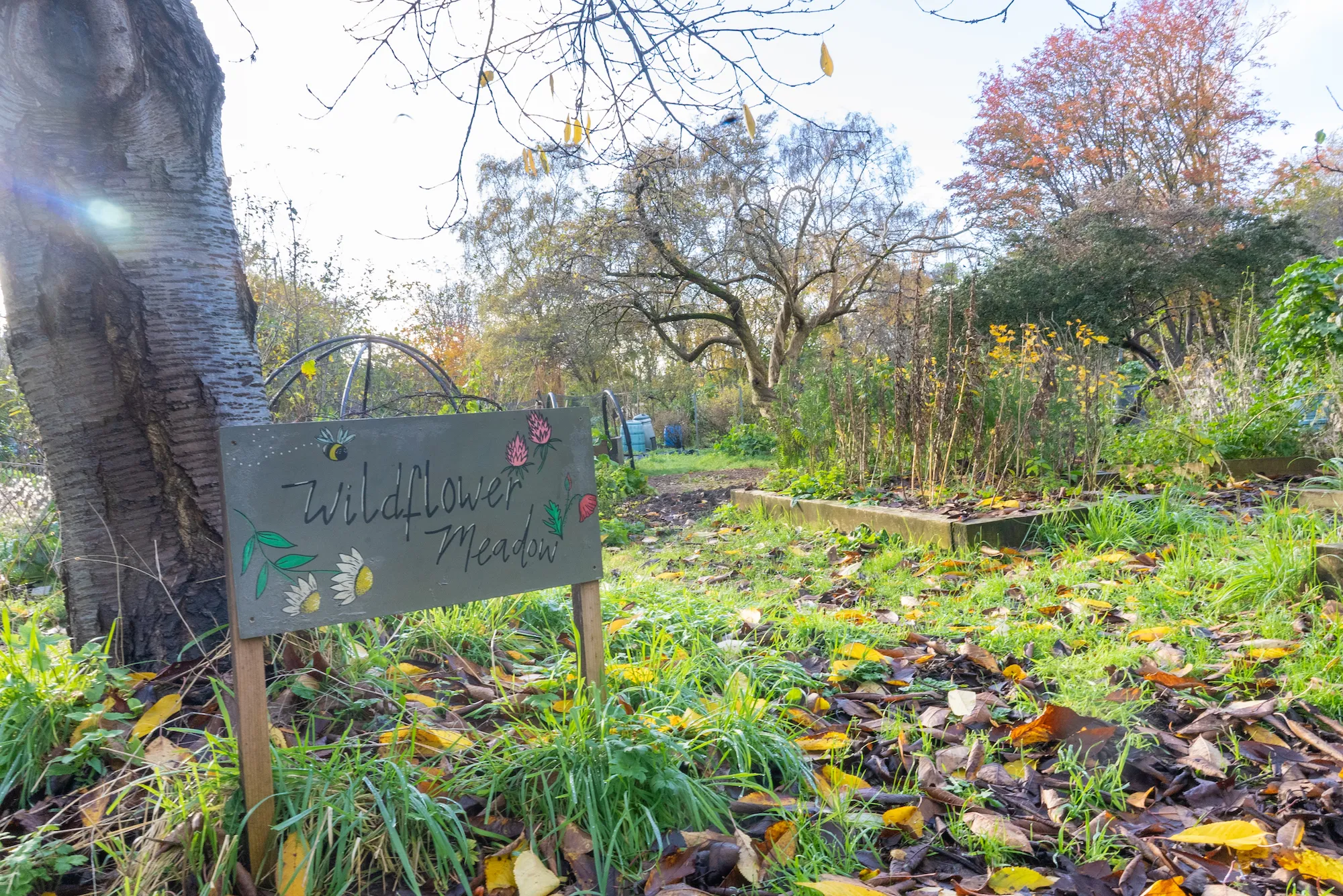 Photograph: David Clack