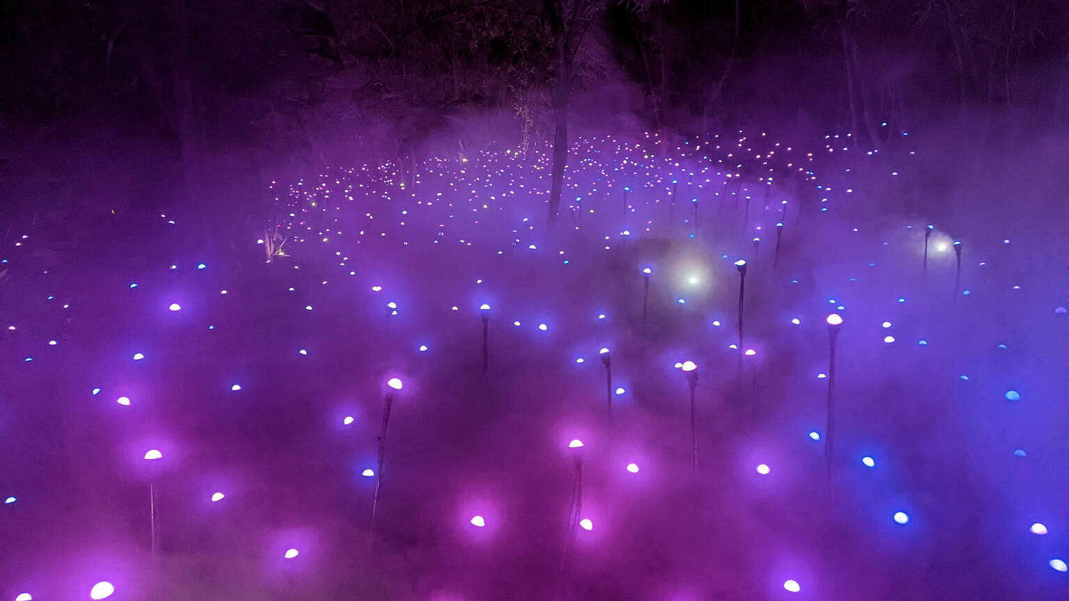 January 2025 Events Calendar for Los Angeles