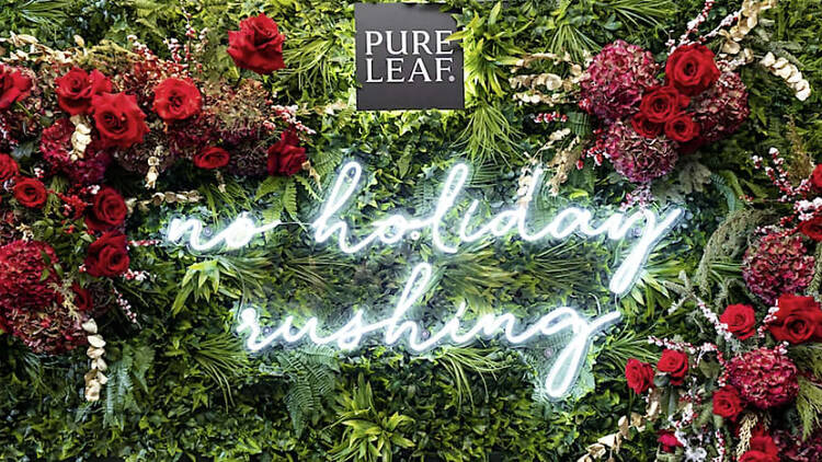 Pure Leaf Holiday Pop-Up