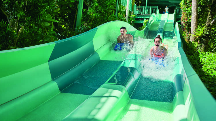 Splish and splash your way to fun at Adventure Cove Waterpark