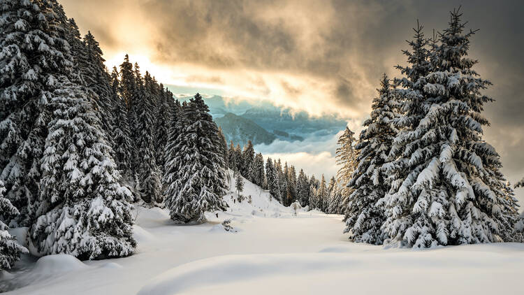 Escape out into a winter wonderland