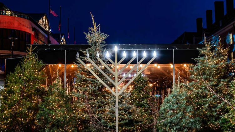 A menorah and Christmas trees.