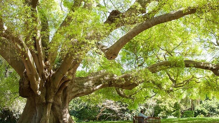 Explore (or picnic on) the garden’s lush green spaces
