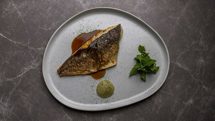 Fish dish on a plate with green source and fresh herbs.