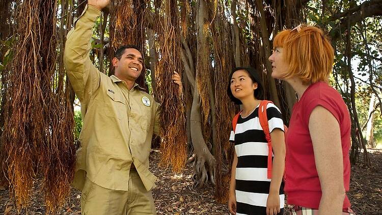 See the gardens in a new light on expert guided walks