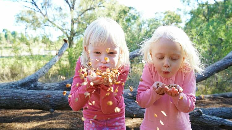 Two children blowing leaves from their hands