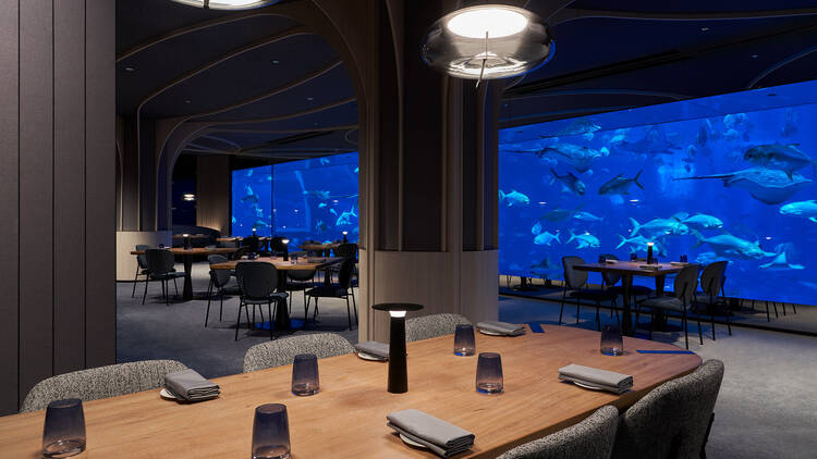 Watch the manta rays glide by while having a superb dinner in Singapore’s only underwater restaurant