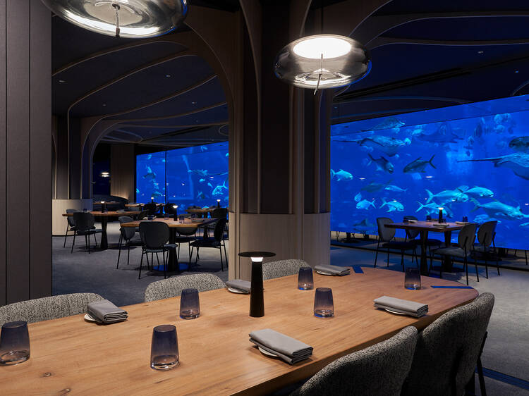 Watch the manta rays glide by while having a superb dinner in Singapore’s only underwater restaurant