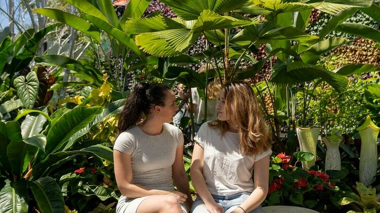 Visit the Calyx’s beguiling new exhibition about plant love