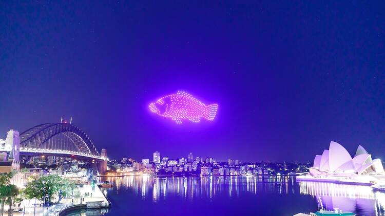 Drones forming a fish shape in the sky about Sydney Harbour