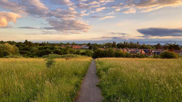 Berry Hill Park