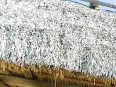 The bohemian bird house in Homestead The bohemian bird house in Homestead