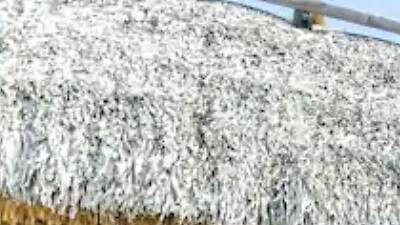 The bohemian bird house in Homestead The bohemian bird house in Homestead