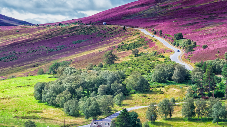 Scottish Highlands