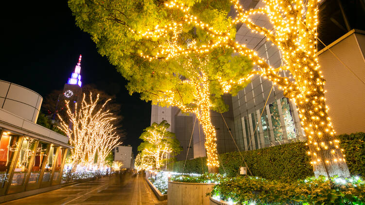 Shinjuku Southern Terrace Illumination