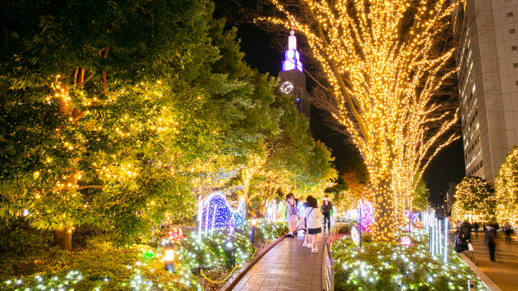 Shinjuku Southern Terrace Illumination