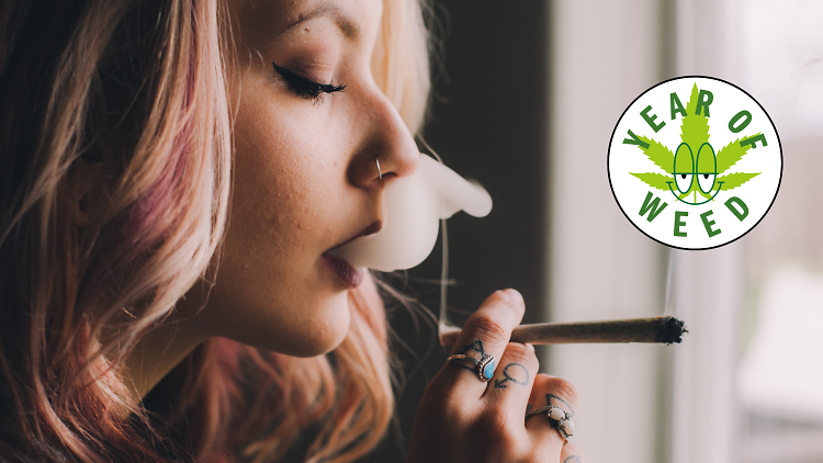 girl smoking weed wallpaper