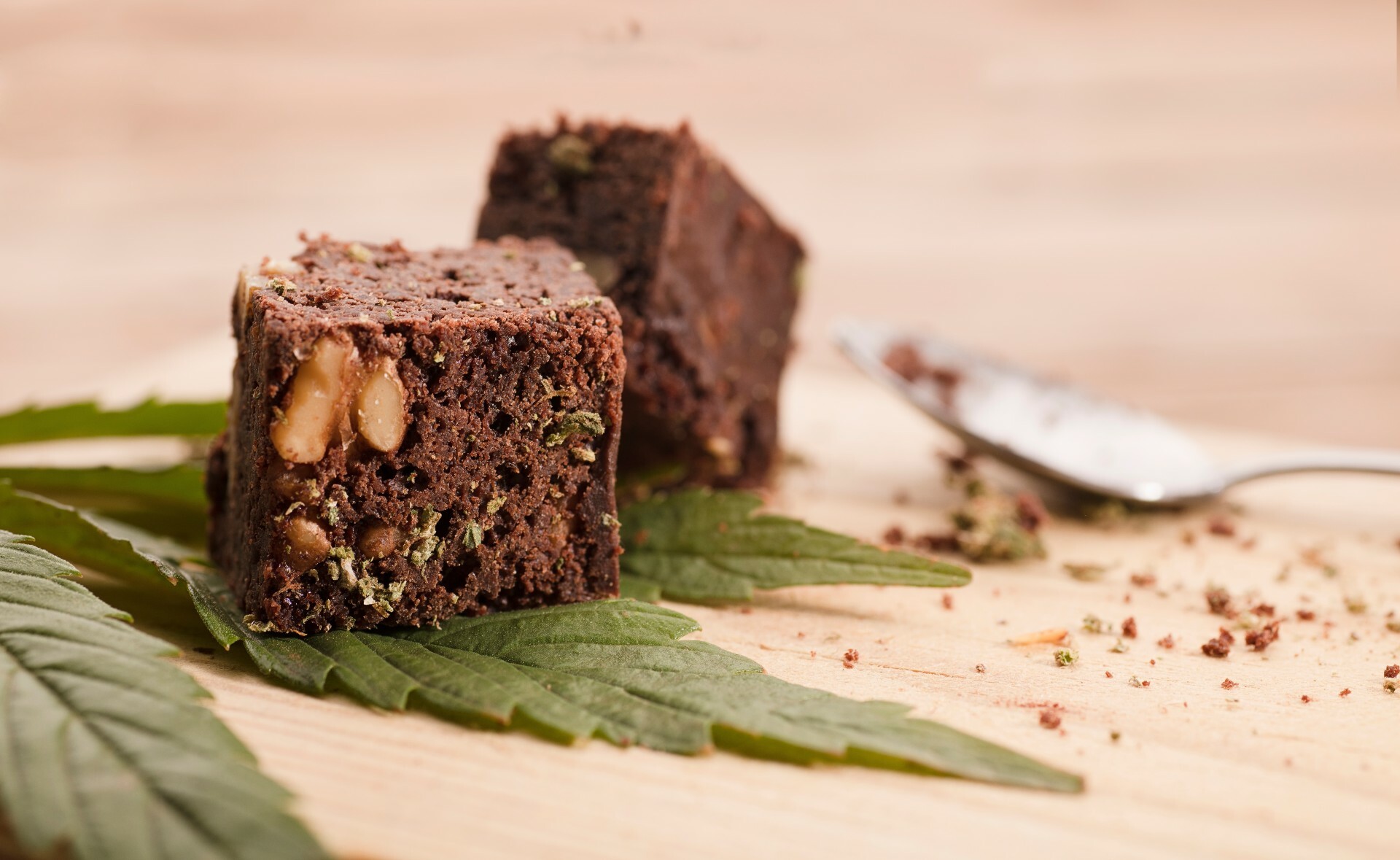 Brownie on Table