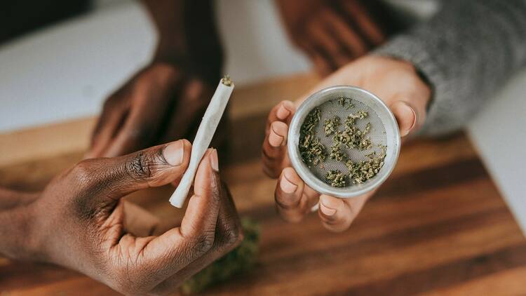 Weed cannabis marijuana