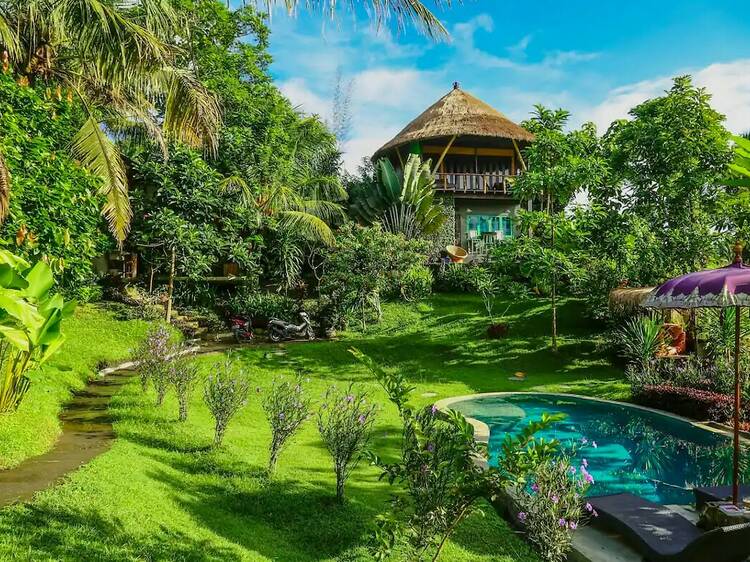 A Balinese treehouse with a beautiful outdoor pool