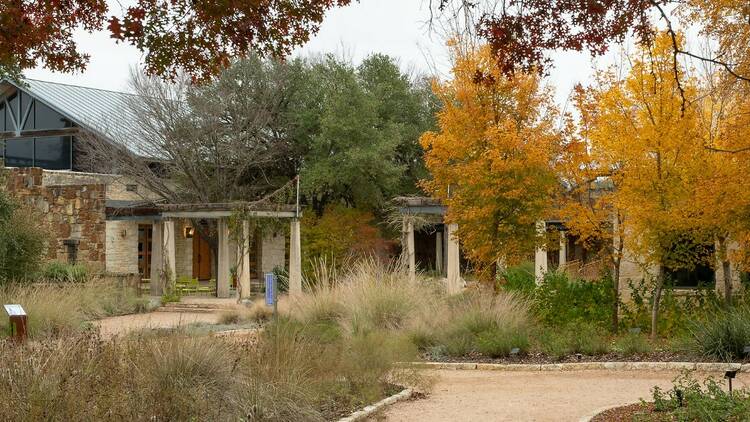 Lady Bird Johnson Wildflower Center