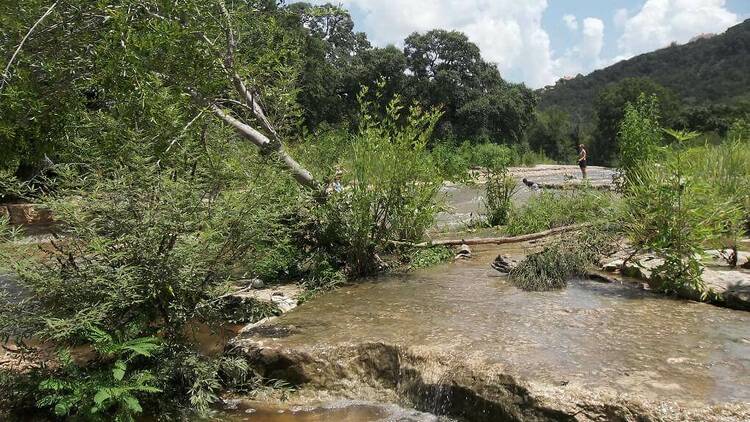 Bull Creek District Park