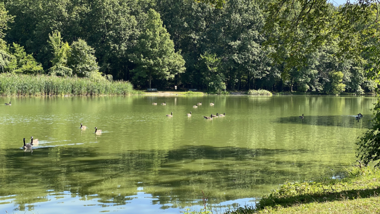 Willowbrook Park in Staten Island