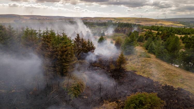 A view of wildfires