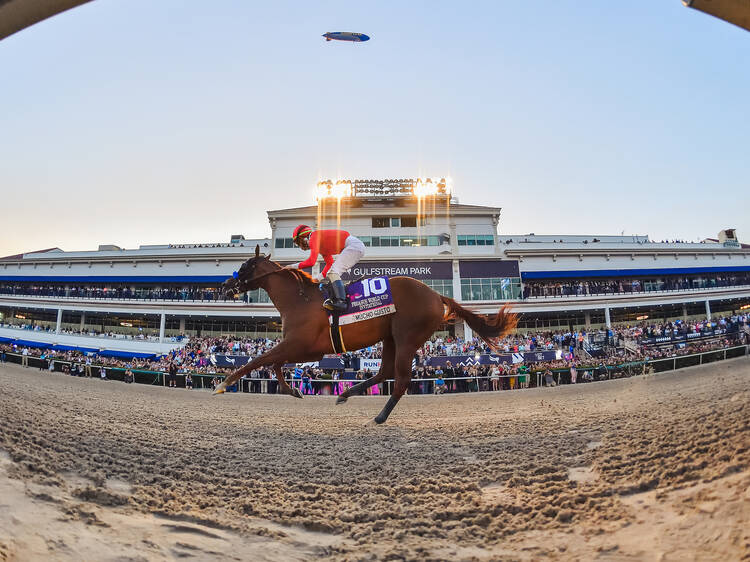 Pegasus World Cup