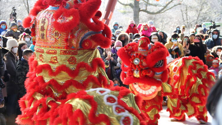 A red and gold dragon puppet.