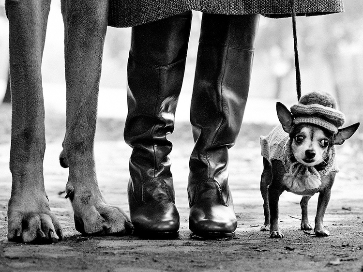 Elliott Erwitt