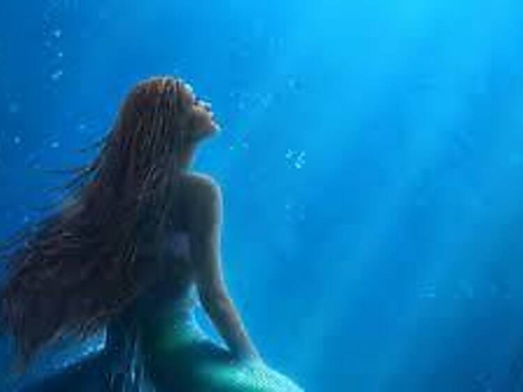 The Little Mermaid