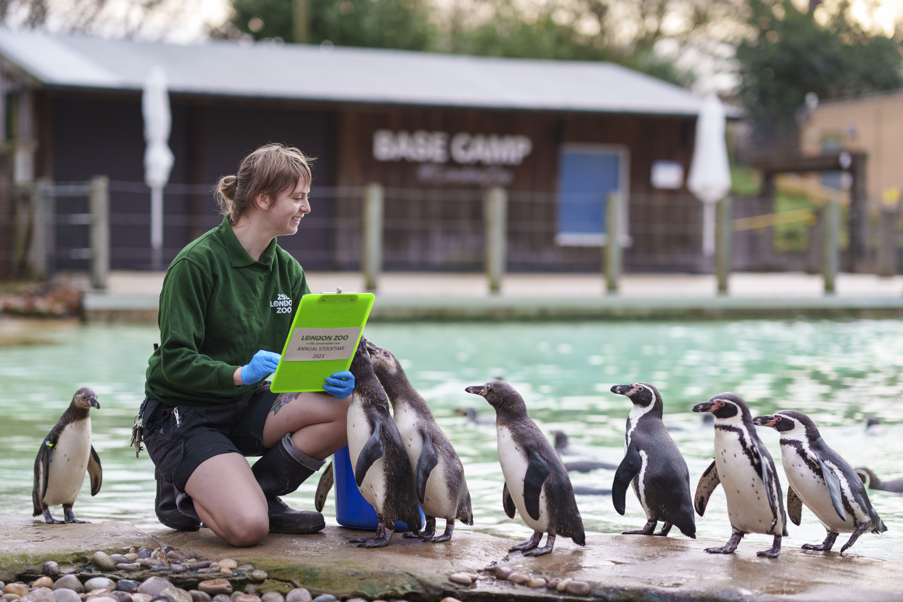 London Zoo Is Doing Its Annual Stocktake For 2023
