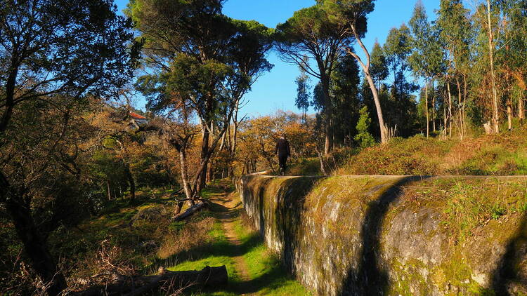 Parque Silva Porto