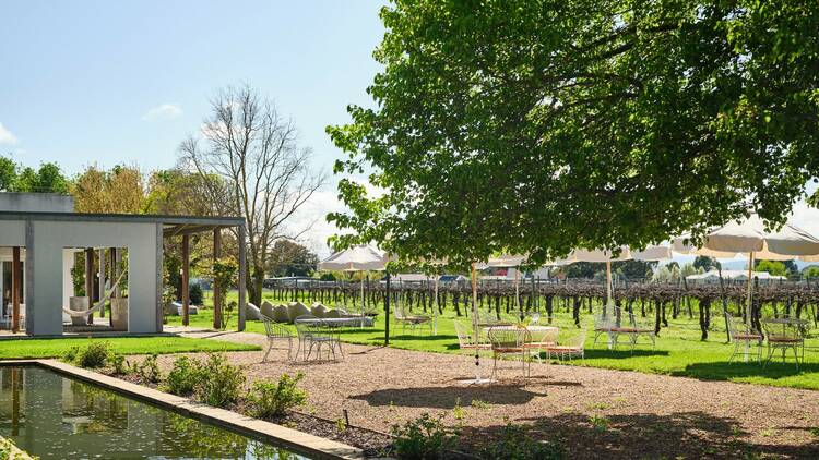 An outdoor pond surrounded by furniture and vines in the distance.