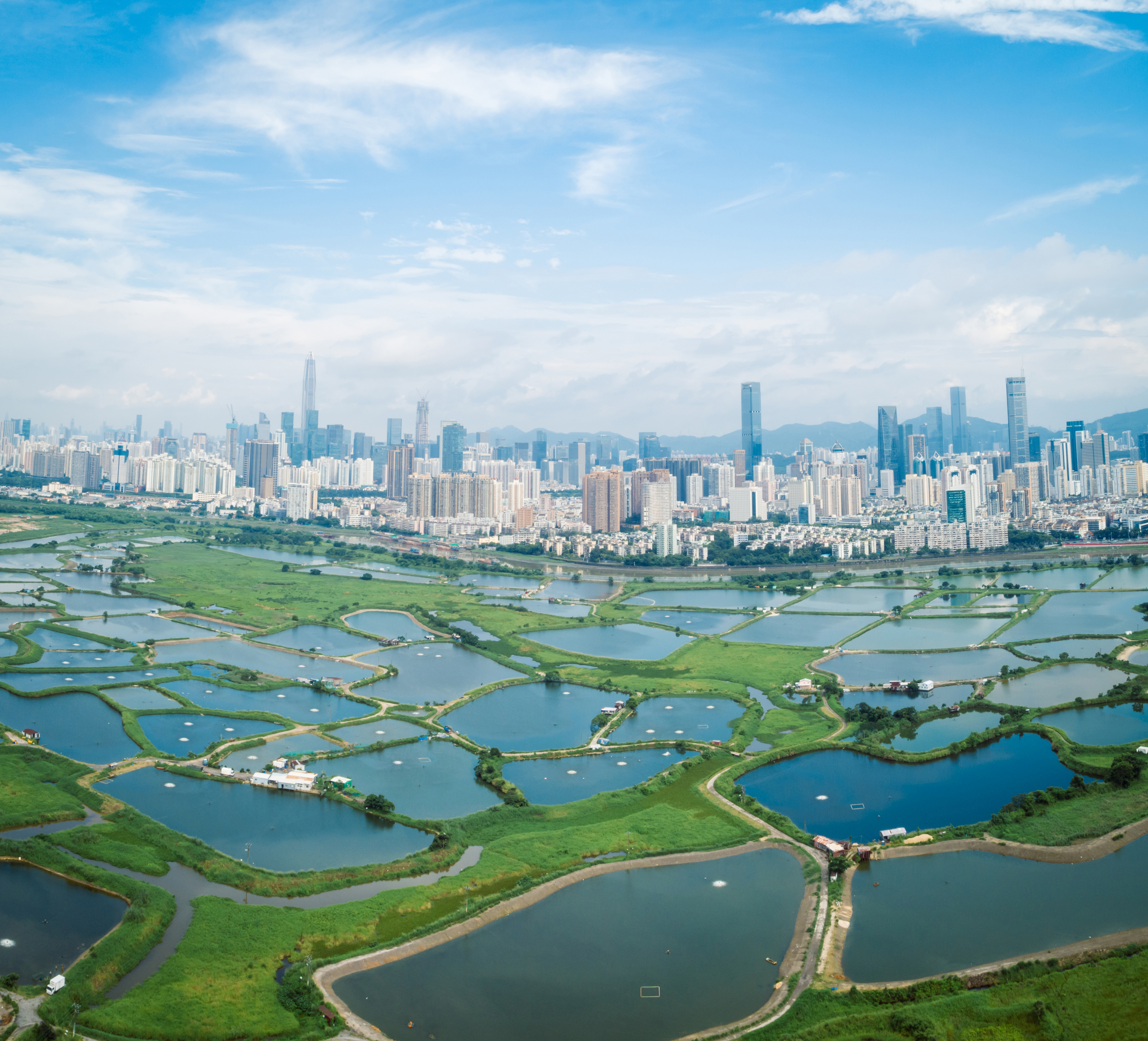 Aerial view of rural green fields with fish ponds on Hong Kong and the skylines of Shenzhen