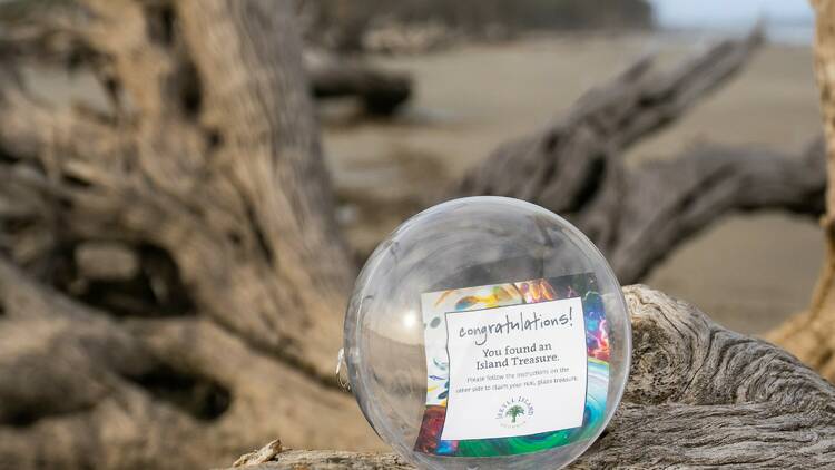 A clear plastic sphere rests atop driftwood with the sea in the distance. Inside is a note reading, "Congratulations" with smaller writing that explains what to do next.