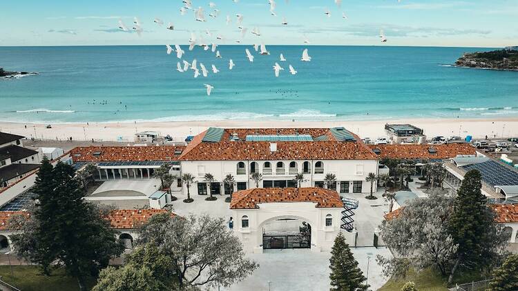 An aerial view of Bondi Pavilion with seagulls