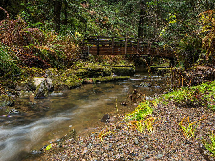 Walk Van Damme State Park