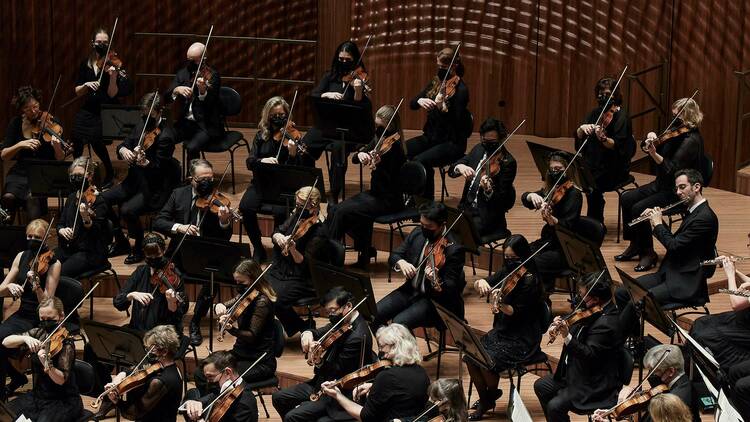 String section of the Sydney Symphony Orchestra