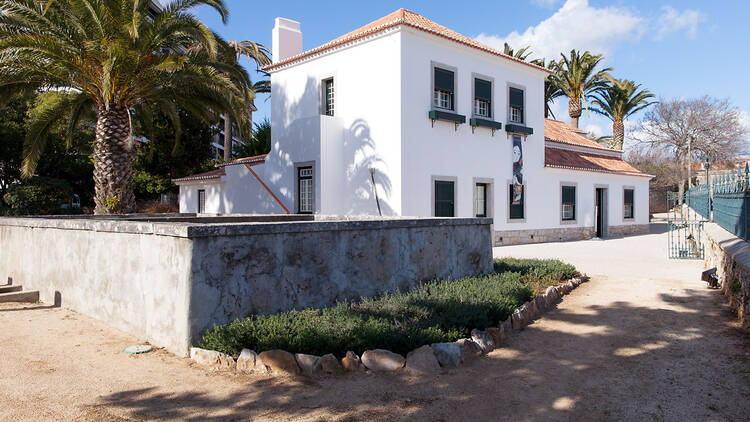Casa Duarte Pinto Coelho
