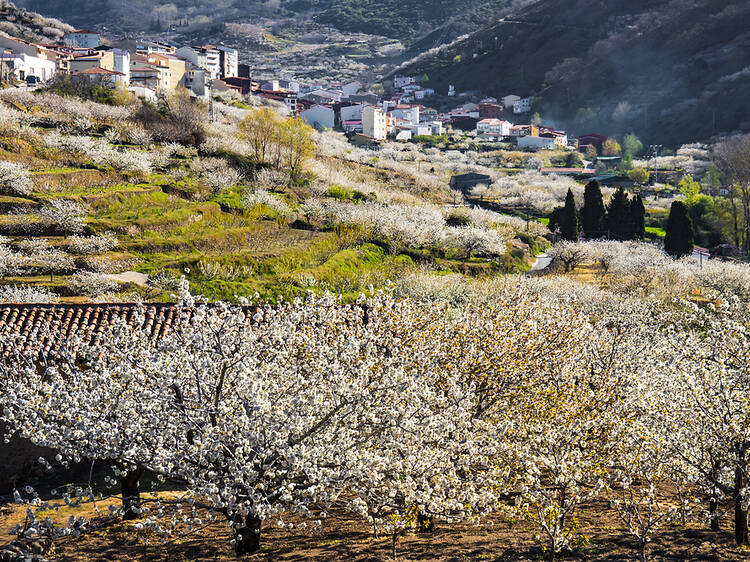 Breathe clean air in the Valle del Jerte