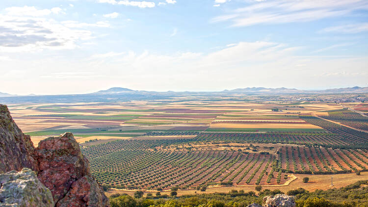 Ride through the vineyards of La Mancha