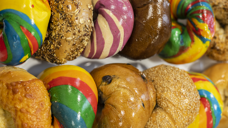 A dozen bagels in different flavors. 