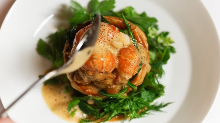 A plate of decadent-looking food on a white plate.