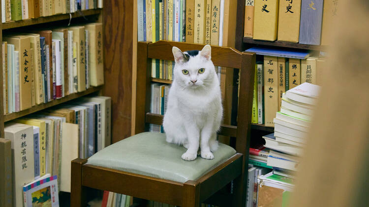 古本屋ぽらん