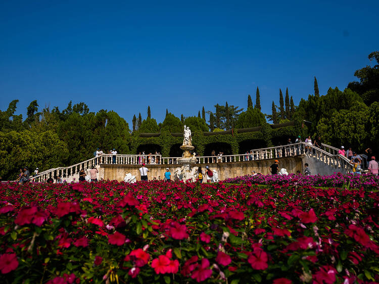 Jardines de México